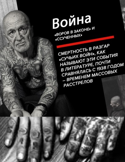 Сучьи войны. Блатные воры против сук на зоне