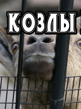 Активисты и козлы в тюремной масти или касте